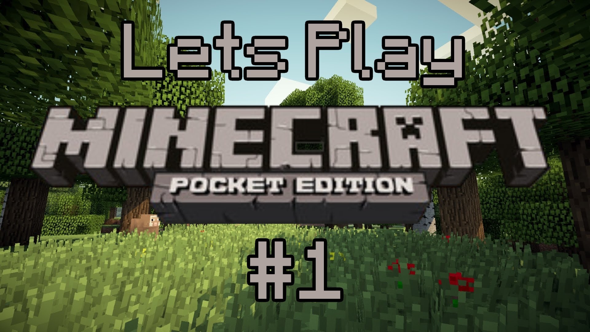 Let's Play: Minecraft PS3 Co-Op - Parte 1 